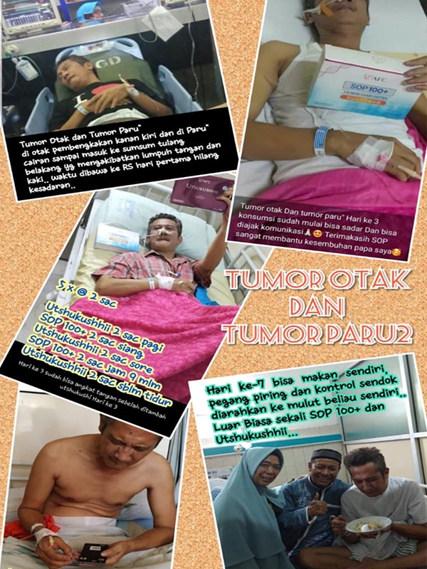 Testimoni-SOP100-Jasa-Landingpage-1.jpg